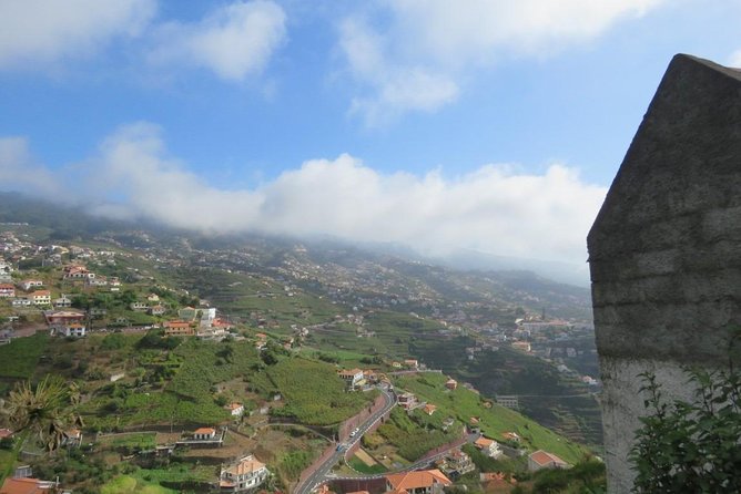 Rota do Vinho - Wine Route (Half Day Walk) - The easy vineyard walk in Estreito de Câmara de Lobos