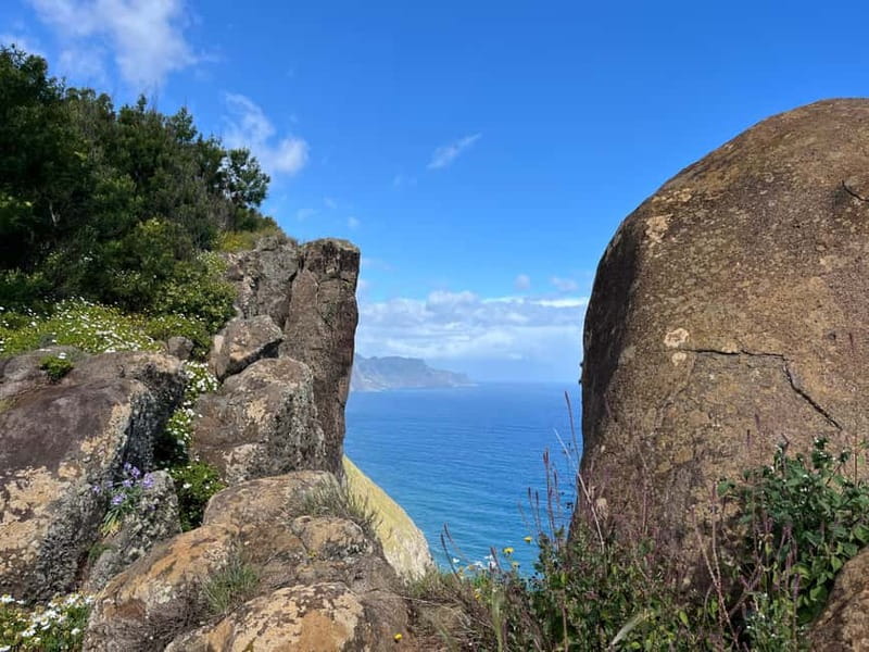 Santana: 4x4 Full-Day Tour to Northeast of Madeira Island - Key highlights worth getting excited about