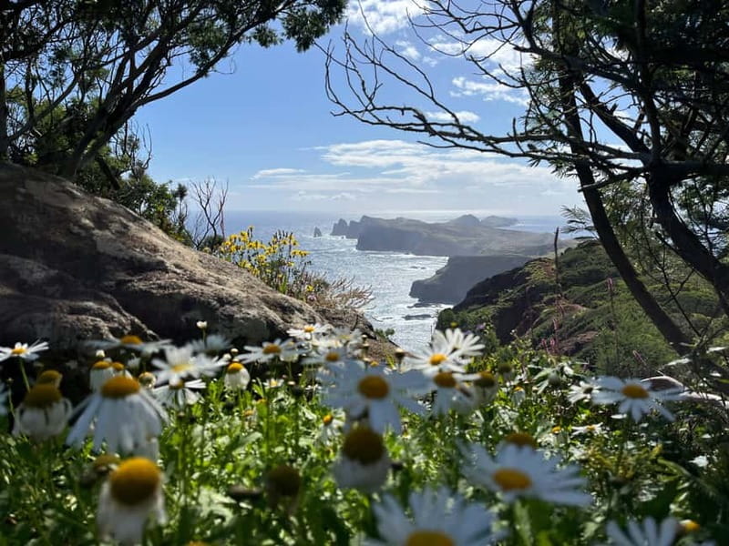 Santana: 4x4 Full-Day Tour to Northeast of Madeira Island - Machico start: the day begins with Madeira’s first settlement town