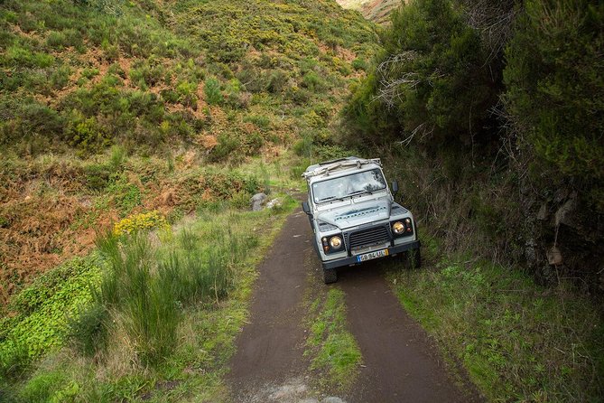 SANTANA Combo Expedition (Jeep & Levada Walk) - Shared Tour - Key reasons this Santana Jeep and Levada day earns top marks