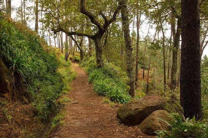SANTANA Combo Expedition (Jeep & Levada Walk) - Shared Tour - Santana’s thatched-roof houses: where the island feels old-school
