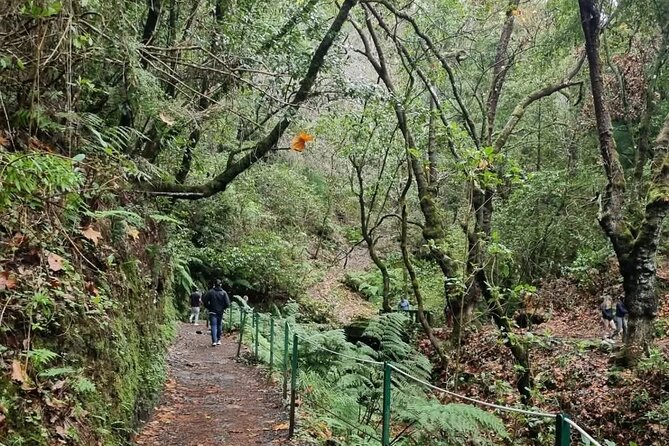 Scenic Hiking and Rum Tasting Experience - Stop 2: Ribeiro Frio hike, 1.5 km trails and birdwatching
