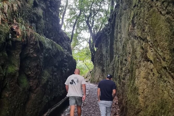 Scenic Hiking and Rum Tasting Experience - Stop 4: Santana traditional houses and a real lunch break