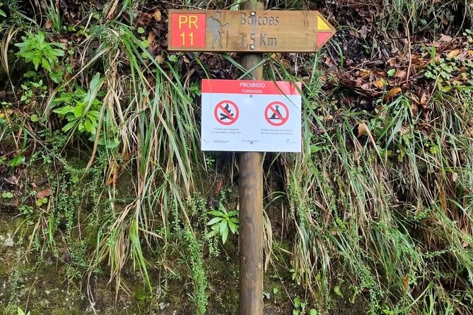 Scenic Hiking and Rum Tasting Experience - Stop 5: Porto da Cruz rum factory sightseeing and tasting