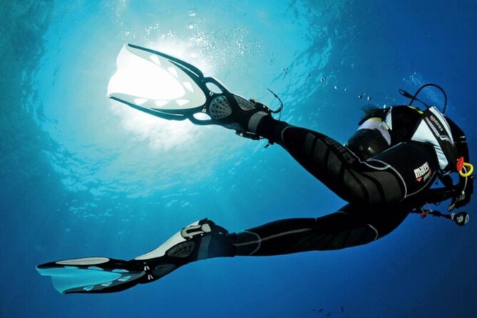 Scuba Diving Experience for Beginners in Ponta de São Lourenço - Your underwater route: a private reef in a protected area