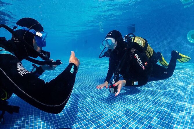 Scuba Diving Experience for Beginners in Ponta de São Lourenço - What happens before you go down: theory and the shallow-water trial