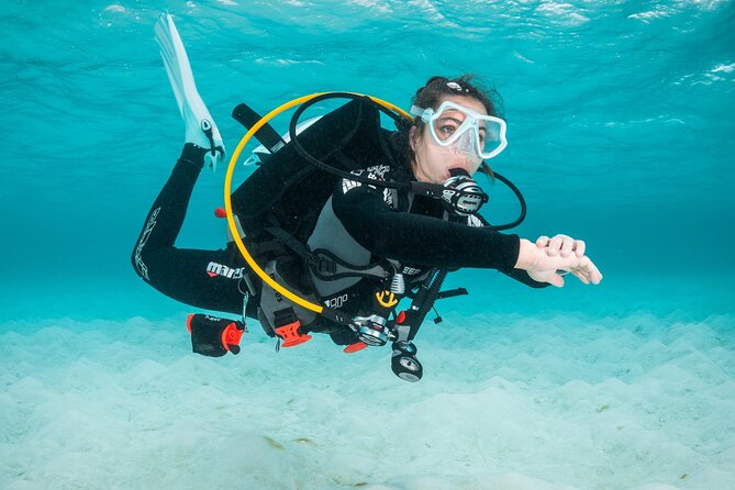 Scuba Diving Experience in Madeira - First steps in Funchal: classroom theory, pool practice, and gear fit
