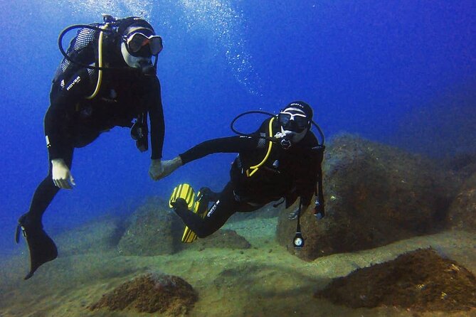 Scuba Diving Experience in Madeira - Price and value check: what you pay for and what can add up