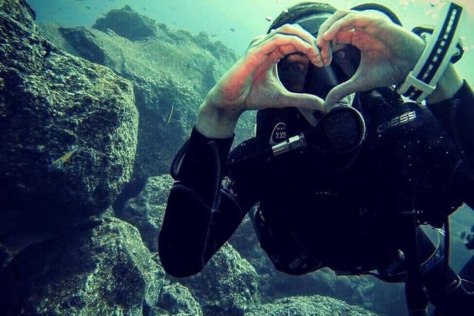 Scuba Diving Experience in Madeira - Timing in the day: 2 hours 30 minutes, weather rules, and rough-water reality