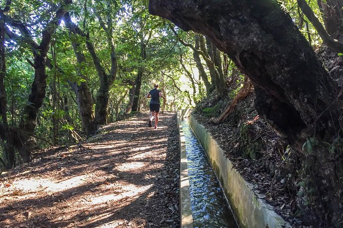 Sea 2 Mountain Running Tour (Moderate-Hard) - Levadas and easy trail running: your “flow state” stretch