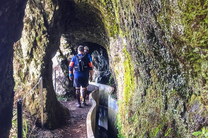 Sea 2 Mountain Running Tour (Moderate-Hard) - Madeira forest running: shade, humidity, and footing
