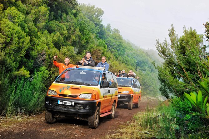 Sea Cliff & mountains Private 4x4 tour - Why this private 4x4 tour feels like the smart way to see Madeira