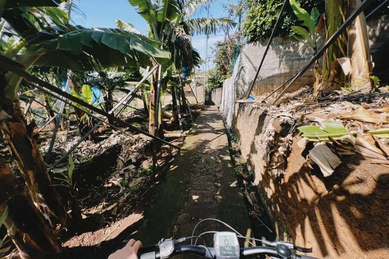 Self-Guided E-Bike Road Tour - Funchal to Câmara de Lobos - What’s included, what you must bring, and how to pack smarter