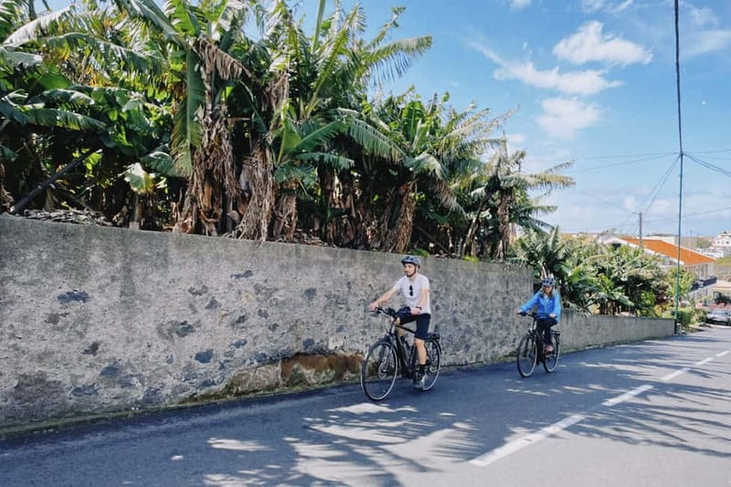 Self-Guided E-Bike Road Tour - Funchal to Câmara de Lobos - The e-bike setup and Garmin GPS: self guided with training wheels