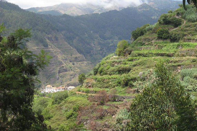 Serra D'Água Valley - Levada Walk - The levada walk through Serra de Água: what it feels like on the ground