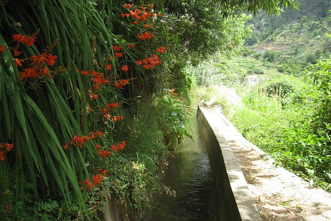 Serra D'Água Valley - Levada Walk - Weather, route adjustments, and how to set yourself up for success