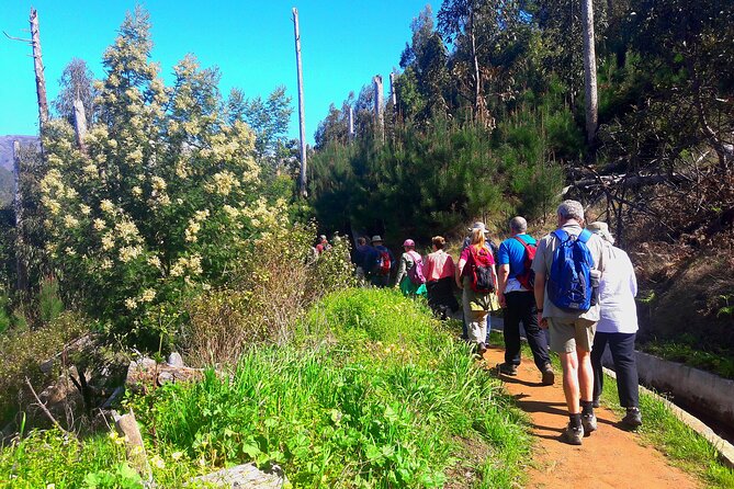 Serra D'Água Valley - Levada Walk - Pickup timing, transportation, and how the day flows