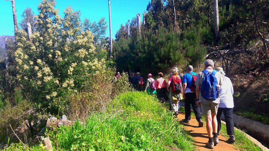 Serra de Água Valley Levada Walk - Why this 5km Serra de Água levada walk is an easy Madeira win