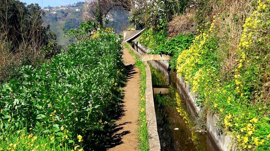 Serra de Água Valley Levada Walk - Should you book this Serra de Água levada walk?