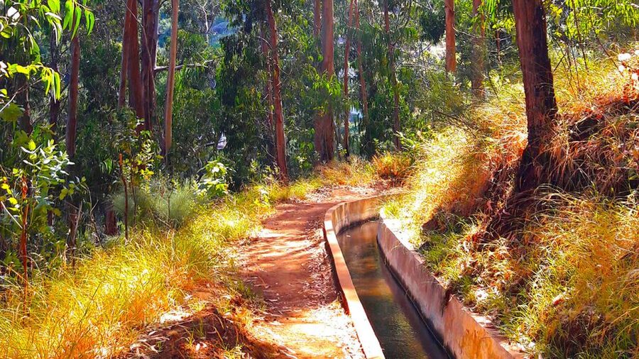 Serra de Água Valley Levada Walk - What the trail feels like: easy footing, tight bits, wet weather