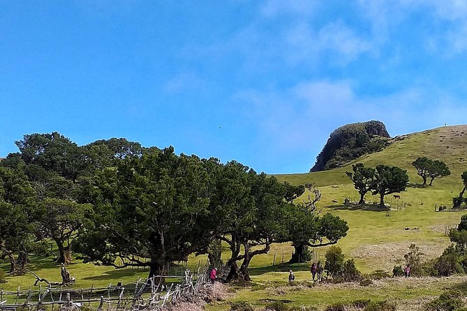 Shore Excursion - Northwest Terraces and Volcanic Pools 4x4 tour - Vereda do Fanal for 10 minutes: what you might pay for