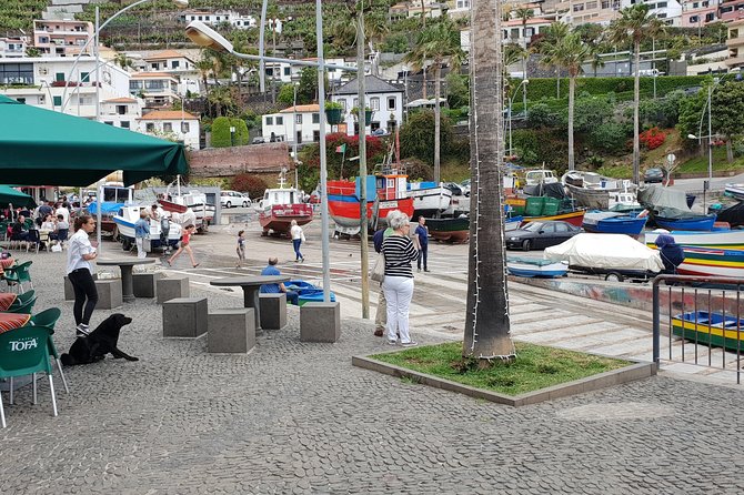 SkyWalk - Cape Giron + Fisherman Village by tuk-tuk - Price and value: is $66.26 worth it?