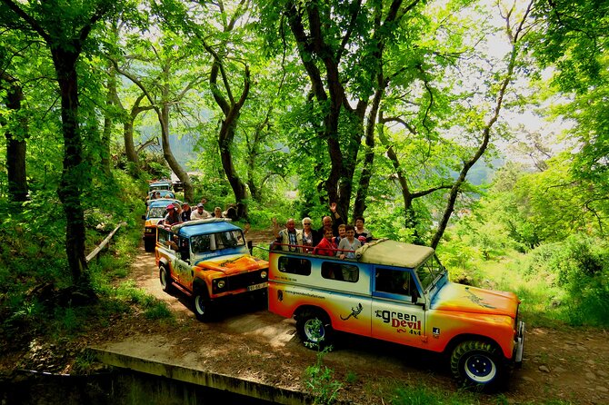 Skywalk, Vineyards, Landscapes and 4x4 Experience in Madeira - Estreito de Câmara de Lobos, grapes for Madeira wine and levadas still working