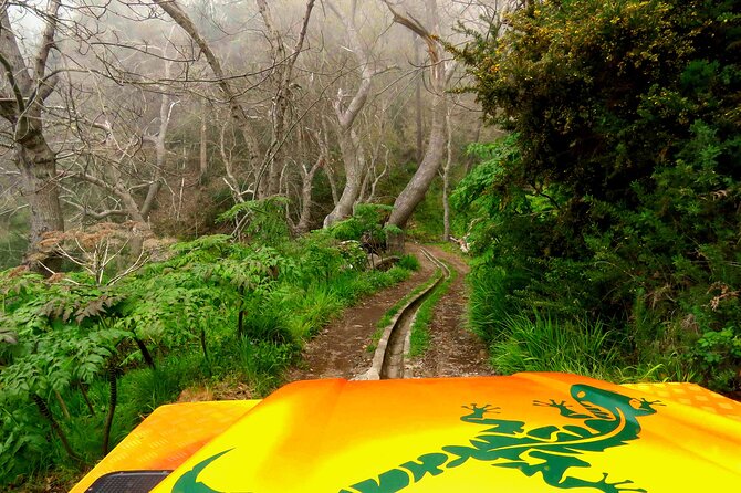 Skywalk, Vineyards, Landscapes and 4x4 Experience in Madeira - Câmara de Lobos, fishing boats and Winston Churchill painting inspiration
