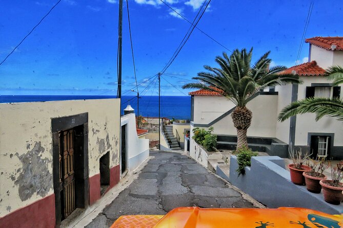 Skywalk, Vineyards, Landscapes and 4x4 Experience in Madeira - Price and value: what $59.15 really covers