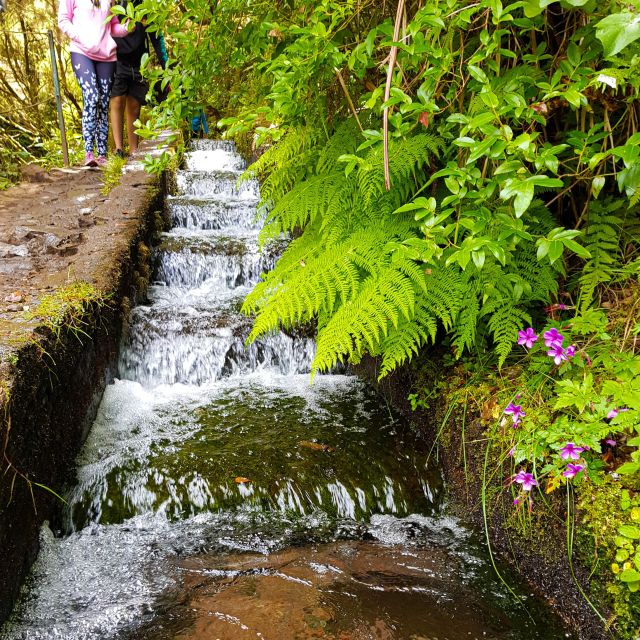Small Group Walks Rabaçal 25 Fontes - Key highlights to know before you go