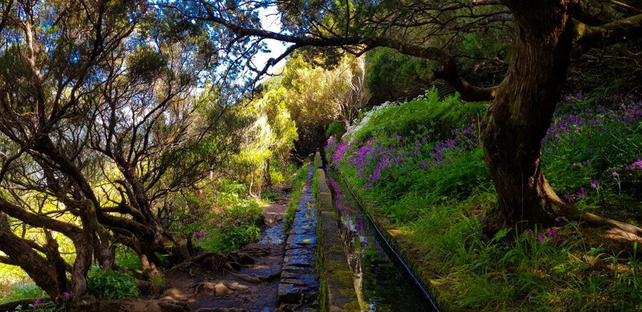 Small Group Walks Rabaçal 25 Fontes - Wet trails, cold mornings, and what to wear in Madeira mountains