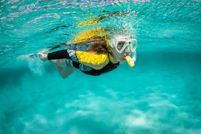 Snorkelling Trip at Ponta de São Lourenço Protected Area - Key things to know before you go