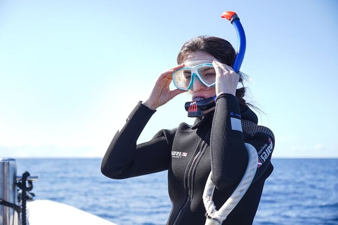 Snorkelling Trip at Ponta de São Lourenço Protected Area - What you’ll actually see in the water (and what to temper)