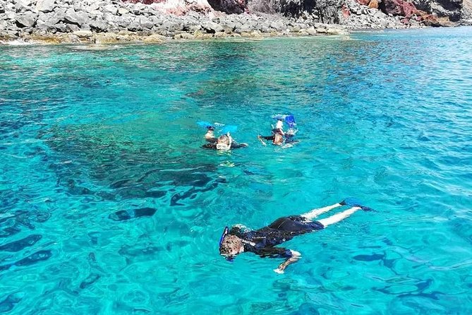 Snorkelling Trip at Ponta de São Lourenço Protected Area - Who this tour is best for
