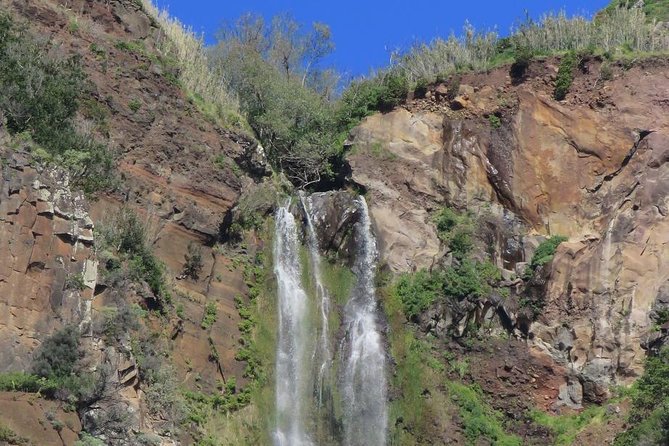 Southwest of Madeira and Calheta Paul do Mar 4x4 Full-Day Tour - Guide, Safety, and the Humor That Makes the Ride Better
