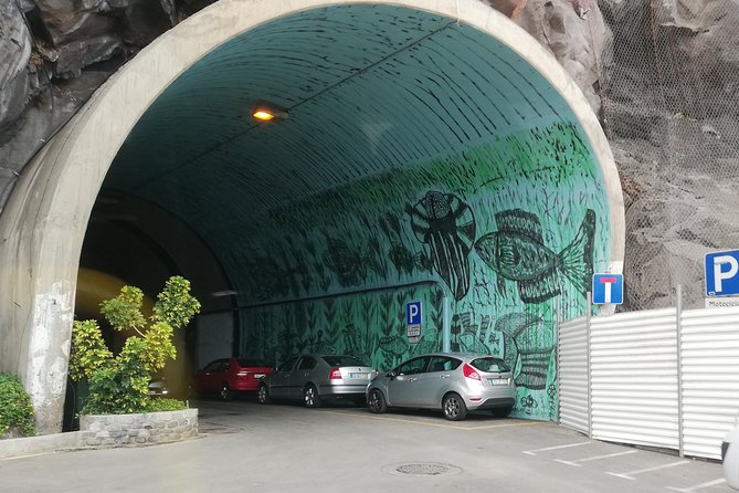Southwest Tour of the Island - Why Madeira’s South Coast Feels Different at the Start