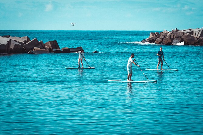 Stand Up Paddle Private Lesson in Calheta Beach - Rodrigo and language: English, plus French support