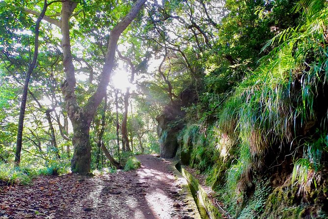 Sunrise Tour @ Pico Do Areiro | Half Day 4x4 Tour - Who should book this Pico do Arieiro sunrise 4x4 tour