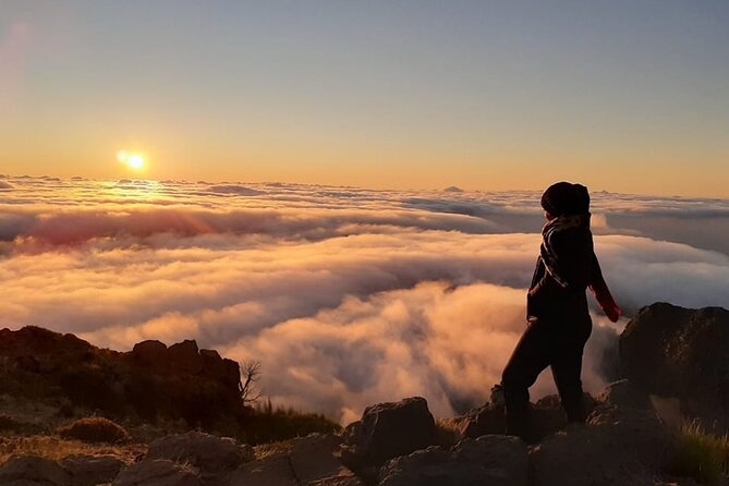 Sunrise & Walk to "Stairway to Heaven" - Should you book this Madeira sunrise hike?