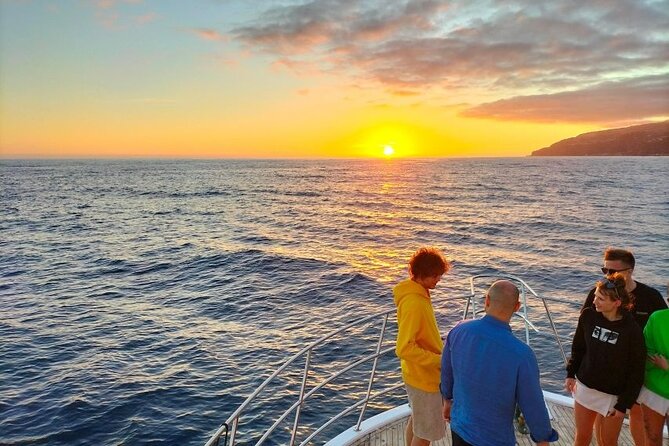 Sunset Cruise with Dinner on Board - Getting on board: Pickup, meeting point, and how to plan your arrival