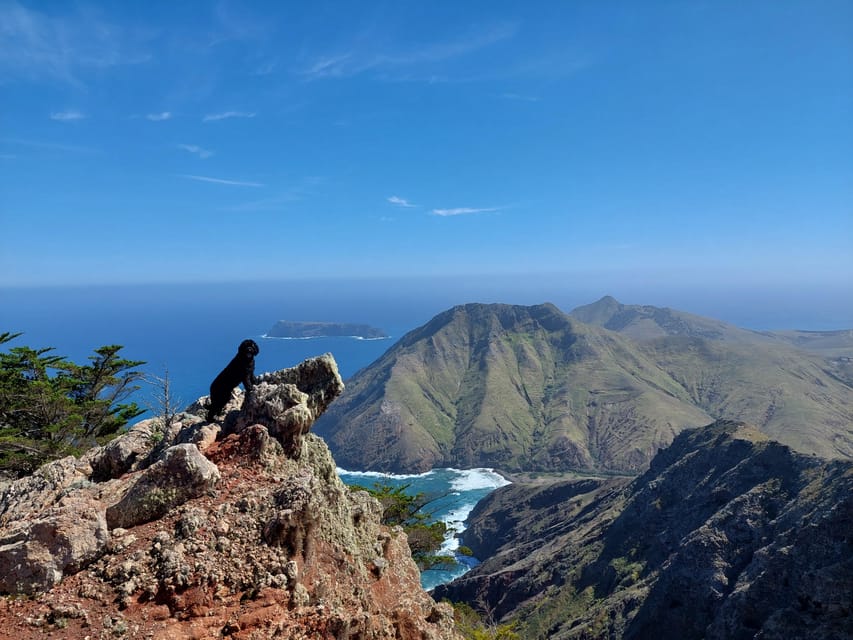 Tailored Trek: Your adventure, Your Way - Porto Santo on Your Schedule, Not a Group Script