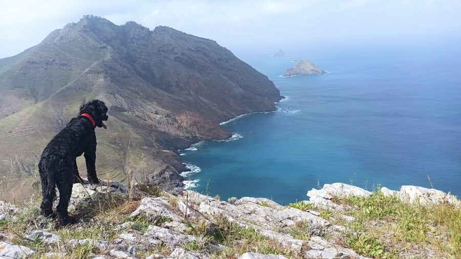 Tailored Trek: Your adventure, Your Way - Should You Book This Tailored Trek on Porto Santo?