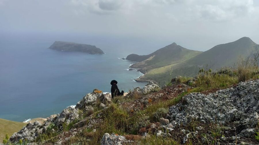 Tailored Trek: Your adventure, Your Way - What a 3 Hour Trek Really Means on Porto Santo