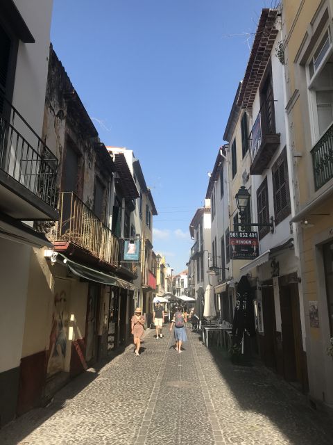 Taste Funchal: food, wine and cultural tour - Best time to take this tour in your trip