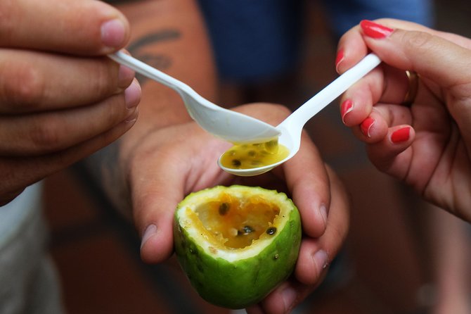 Taste Funchal: food, wine & cultural tour - Taste Funchal in one sentence: guided eating, not hunting