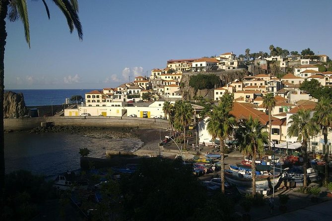 The best of the West of Madeira - Fanal Forest and the centenarian laurel question