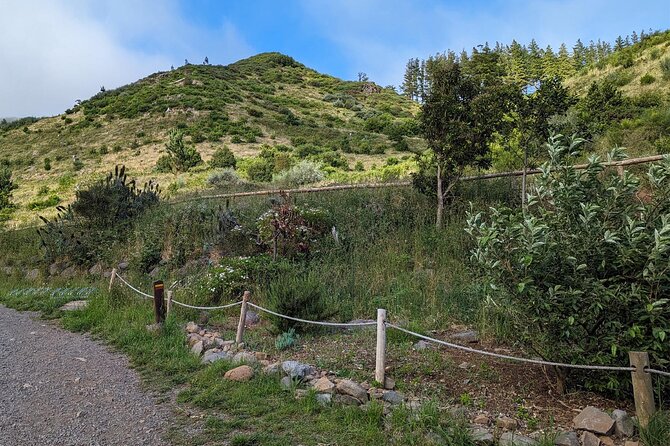The Fabulous Pico do Arieiro: Half-day Private Tour - Stop 3: Pico do Arieiro, the 1,818-meter summit view that people plan for