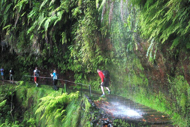 The King's Levada - Levada do Rei - Key Points You Should Know Before You Go