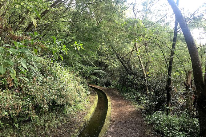 The King's Levada - Levada do Rei - Price and value: is $53.23 a fair deal?