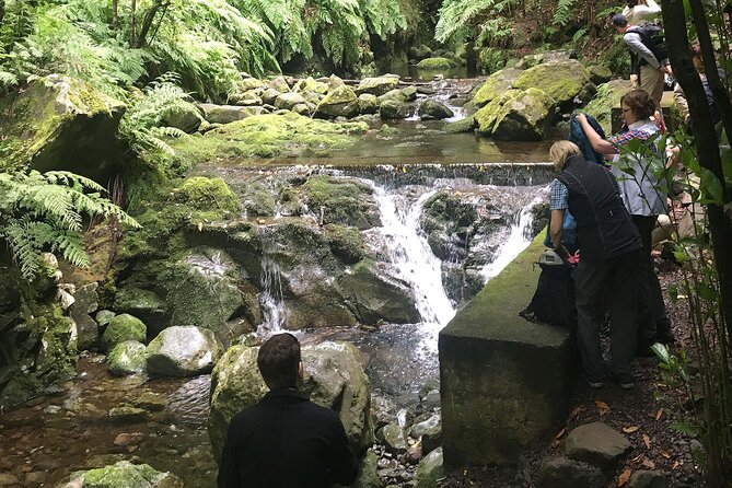 The King's Levada - Levada do Rei - The main hike: from Quebradas to Ribeiro Bonito on the Levada do Rei